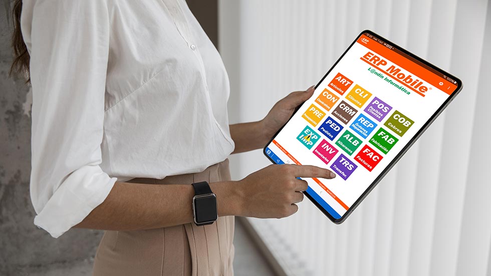 erp para pyme