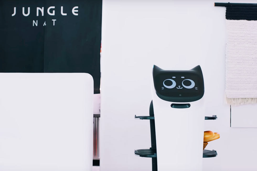 robots camareros